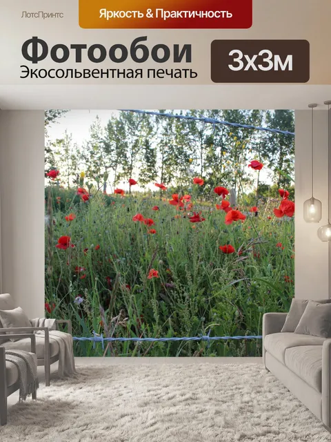 Фотообои Красочные полевые цветы Красные маки