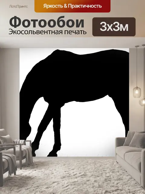 Фотообои изолированных лошадь
