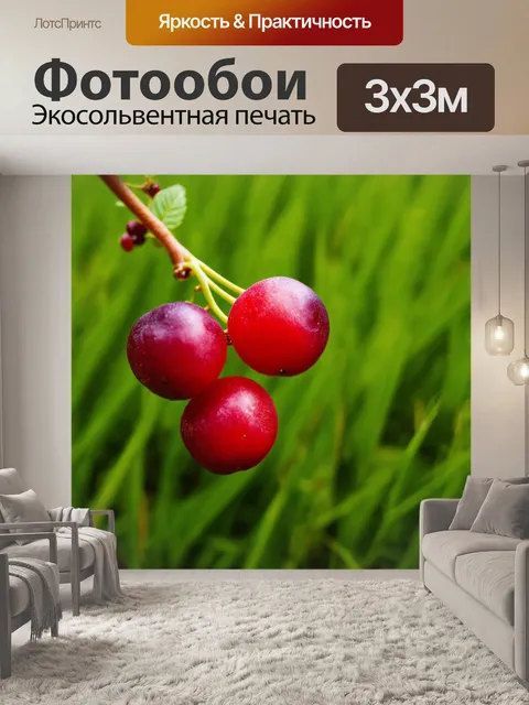 Фотообои красные свежие ягоды на фоне зеленой травы, создающие аппетитный вид