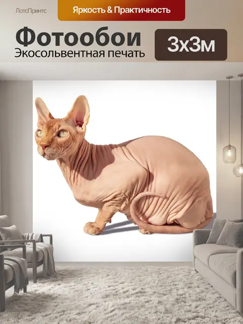 Фотообои Сфинкс