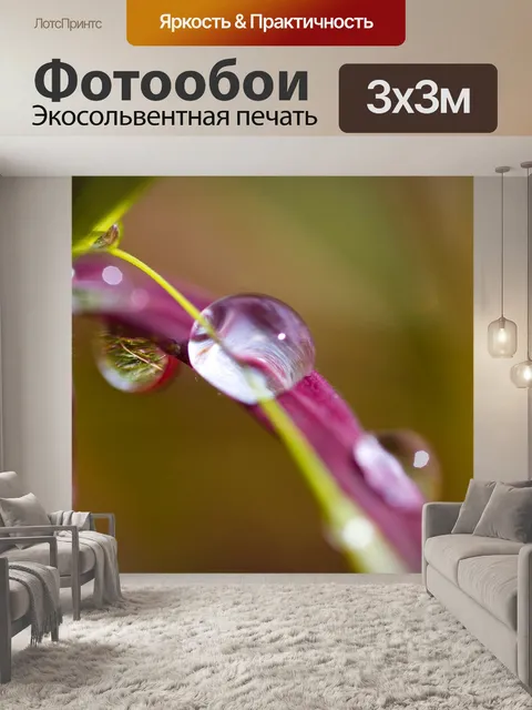 Фотообои Макрос
