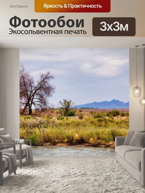 Фотообои Окрашенный пустынный пейзаж