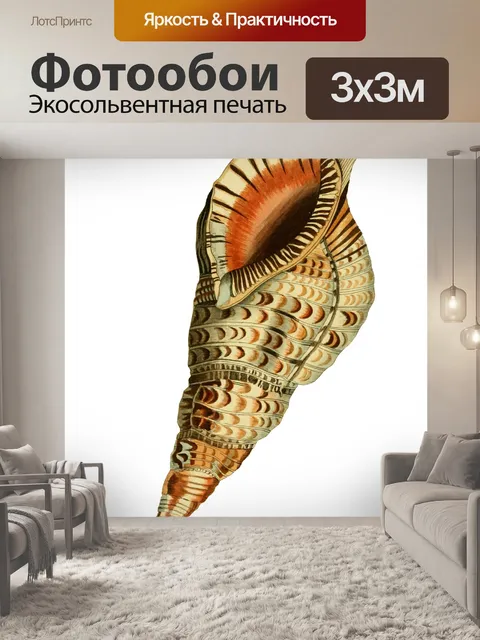 Фотообои Винтажное Искусство Раковины