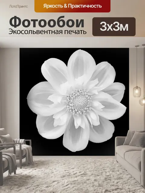 Фотообои Цветок