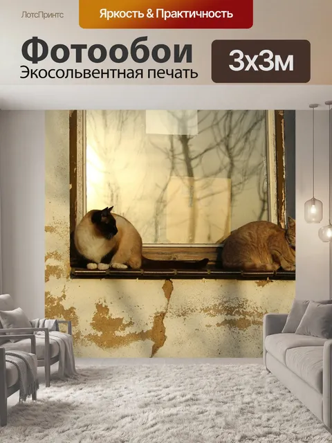 Фотообои Кошки