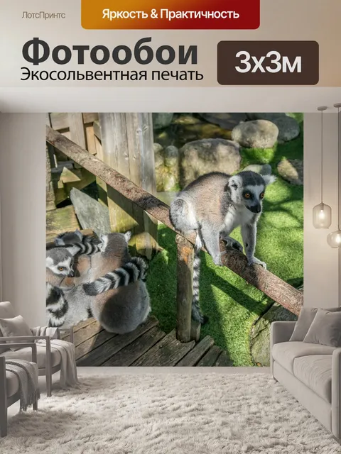 Фотообои Лемур