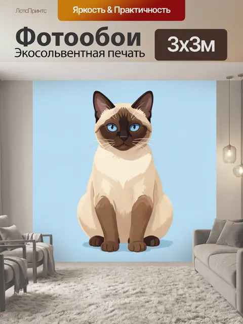 Фотообои Котенок сиамской породы