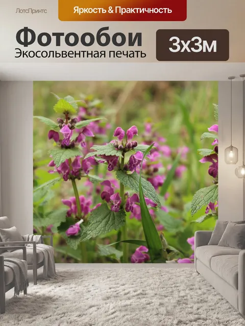 Фотообои Земляная лоза