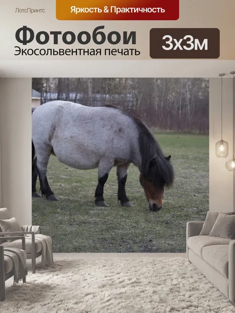 Фотообои Миниатюрный Лошадь Пони