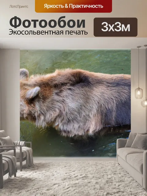 Фотообои Медведь в ванной 2