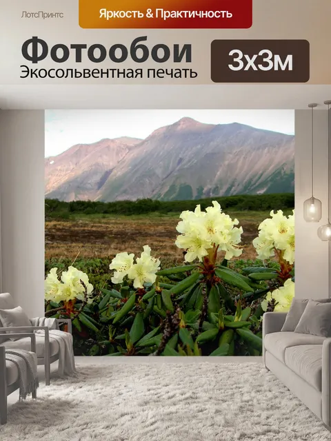 Фотообои Цветы