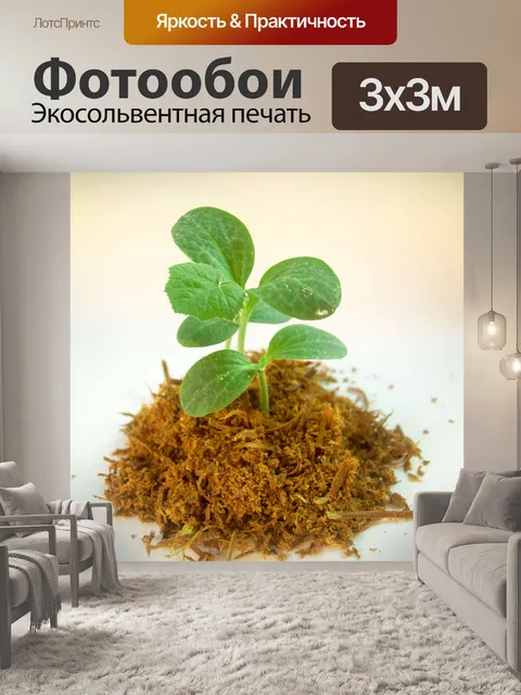Фотообои Молодое дерево