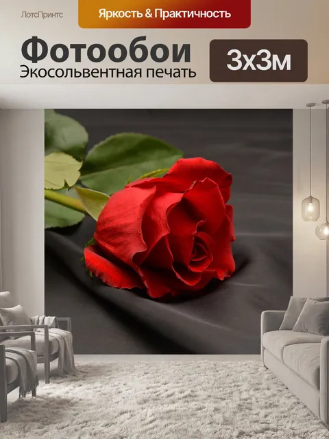Фотообои Роза