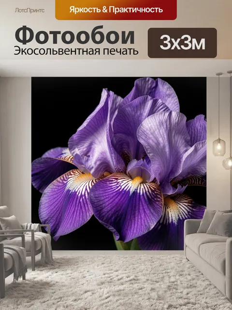 Фотообои Фиолетовый ирис крупным планом