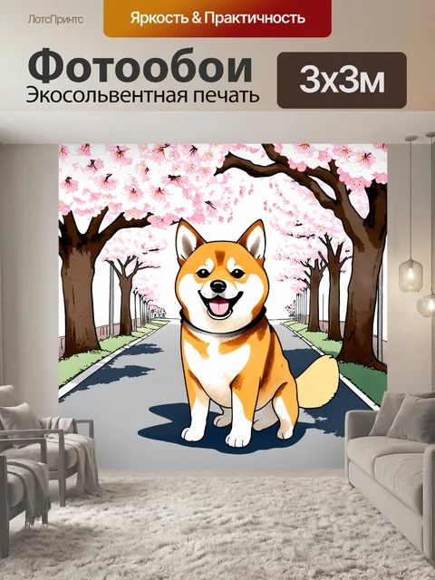 Фотообои на улице, где цветут сакуры, сиба-ину с улыбкой наслаждается весенним днем