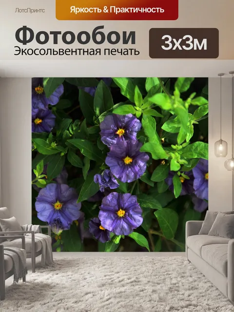 Фотообои Фиолетовый анютины глазки
