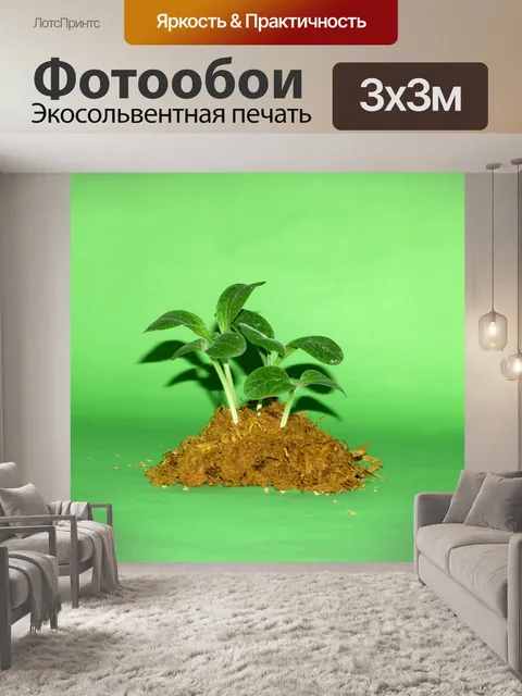 Фотообои Молодое дерево