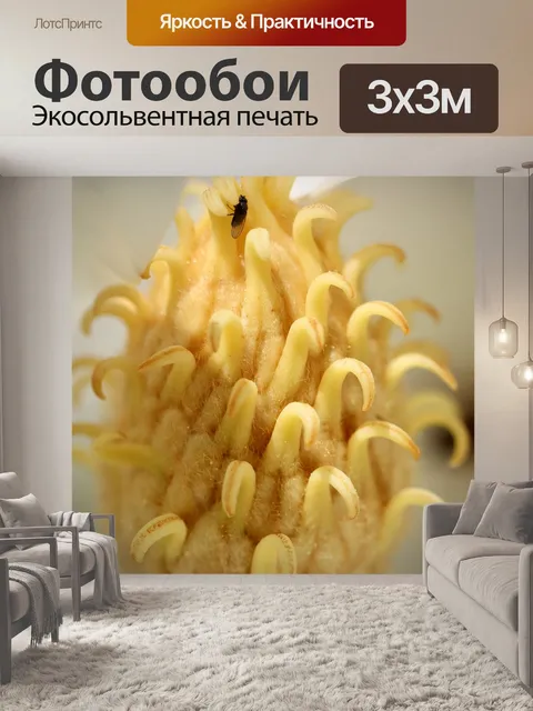 Фотообои Магнолия
