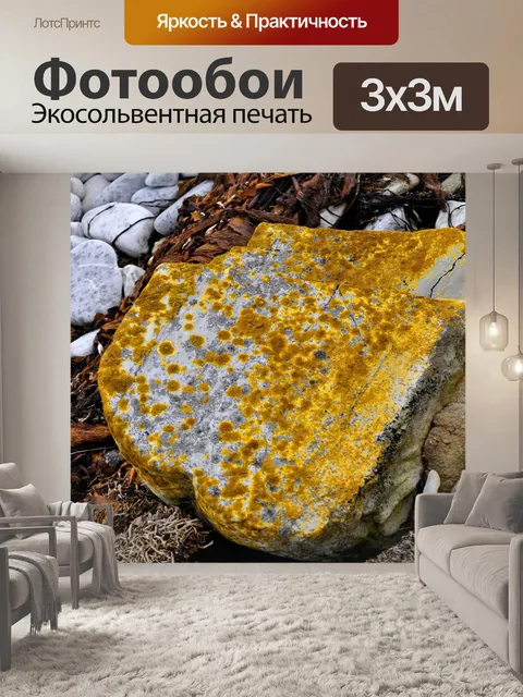 Фотообои Природа