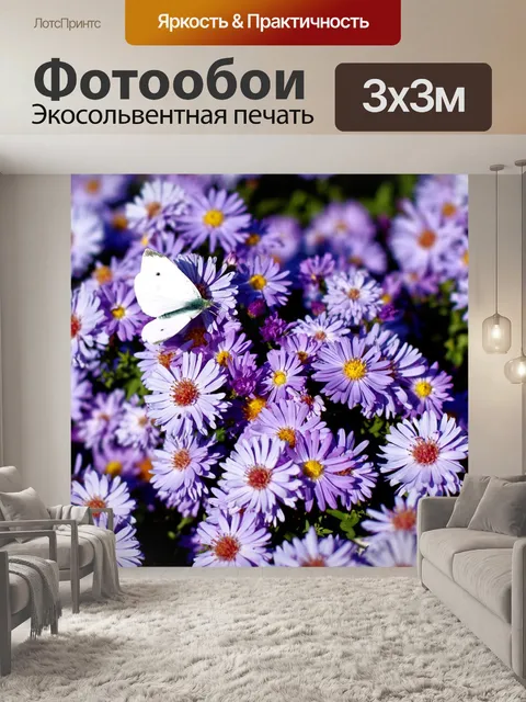 Фотообои Бабочка