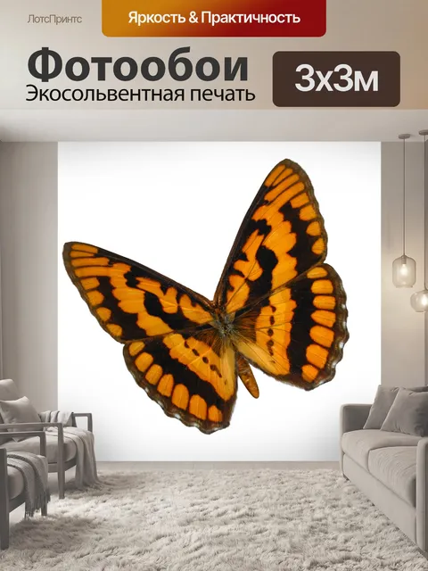 Фотообои Клетчатый шкипер бабочки