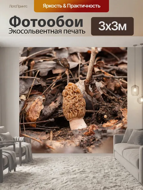 Фотообои Крыжовник