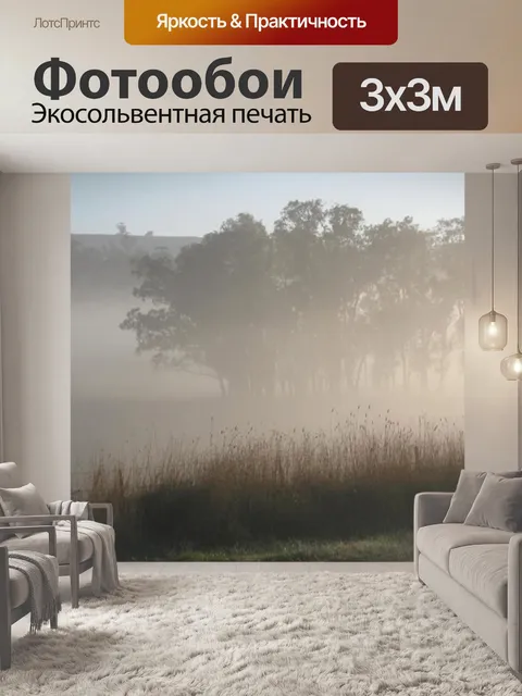 Фотообои Туманное утро