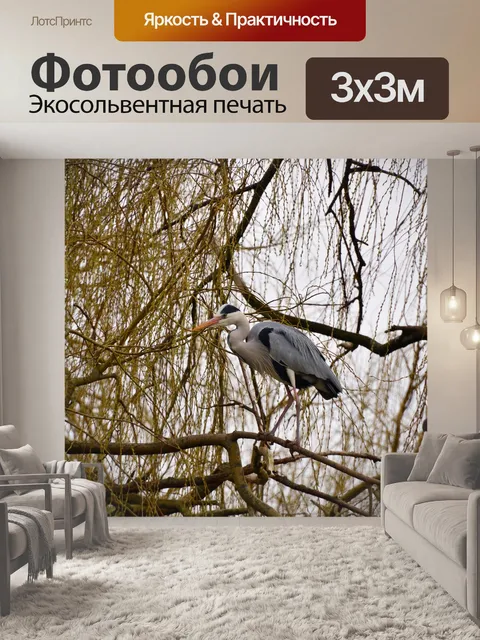 Фотообои Цапля, крупная птица