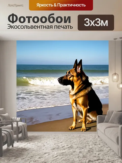 Фотообои на берегу моря, старый немецкий овчарка внимательно смотрит на волны, ветры развевают его шерсть