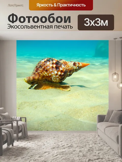 Фотообои Тритон Моллюск