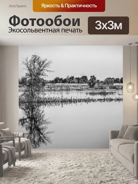 Фотообои Дерево в болотах