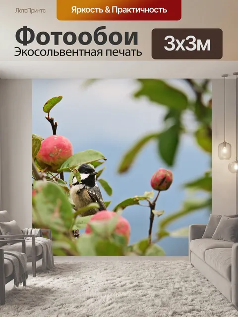 Фотообои Синица