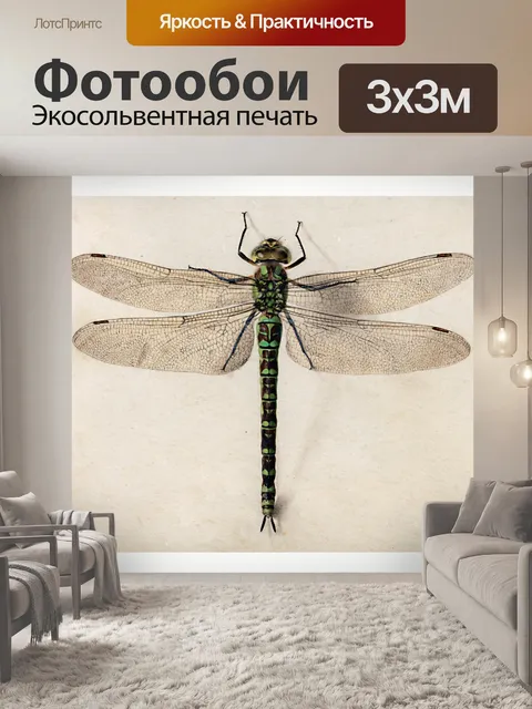 Фотообои Старинные Иллюстрации Стрекоза Искусство