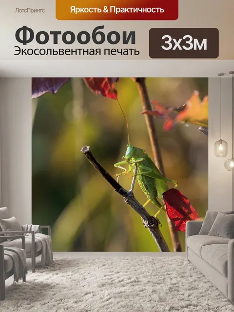 Фотообои Польша