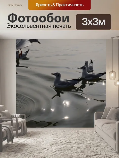 Фотообои Чайки