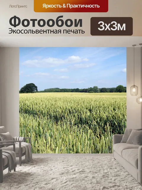 Фотообои Зерновое поле