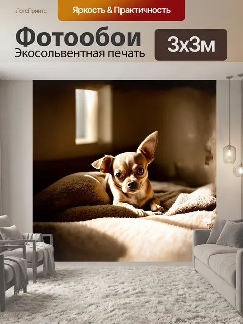 Фотообои маленькая собака, чихуахуа, уютно свернувшаяся калачиком на мягком пледе
