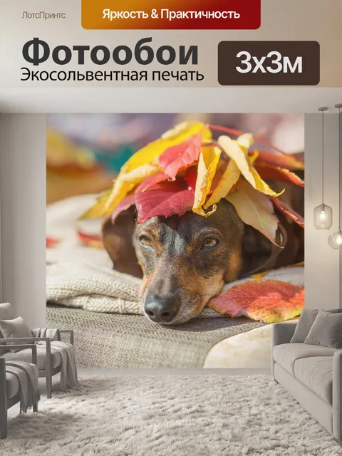 Фотообои Собака
