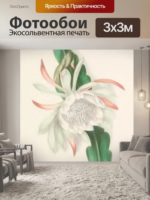 Фотообои Королева Ночного Кактуса