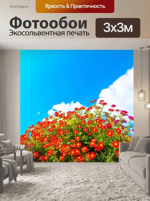 Фотообои япония: яркий соцветие цветков с их красотой, вырастающими на фоне небосвода
