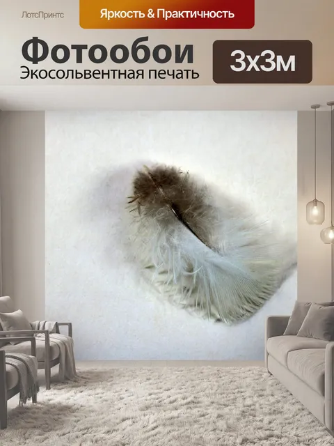 Фотообои маленькое серо-белое пуховое перо