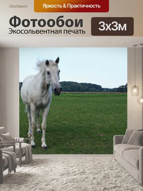 Фотообои Лошадь белая пастбище