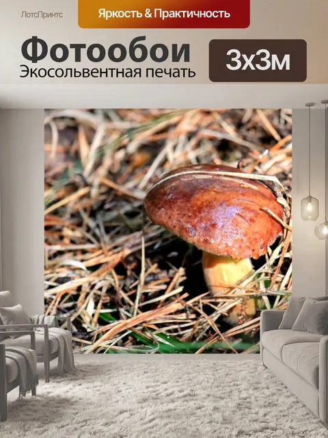 Фотообои Гриб