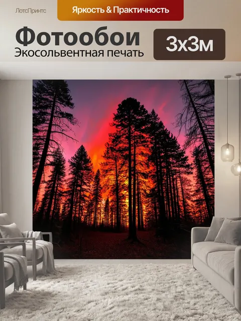 Фотообои лес с осенним закатом, когда небо переливается красными и фиолетовыми оттенками, а деревья создают силуэты