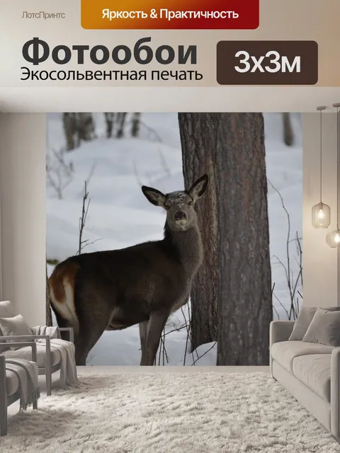 Фотообои Зимний пейзаж