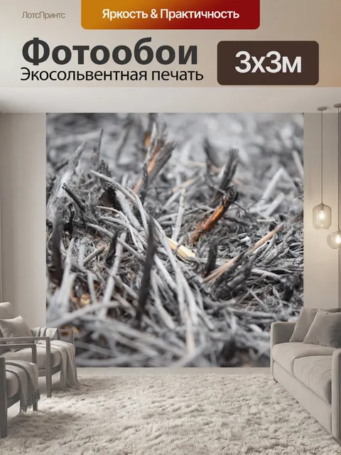 Фотообои Пепел