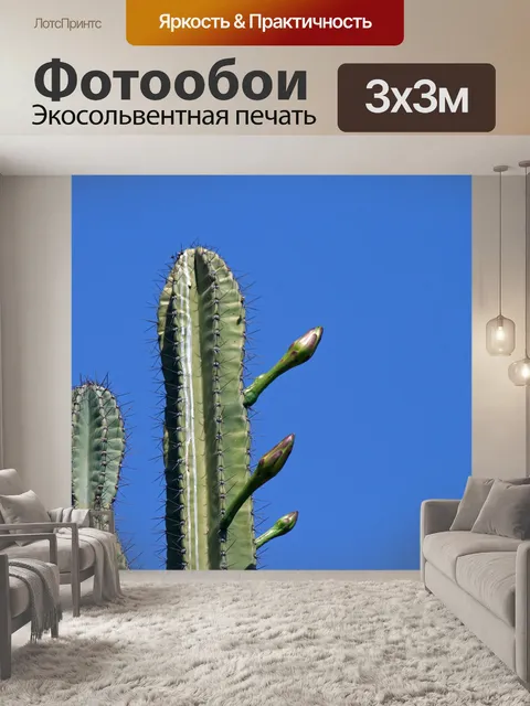 Фотообои вершины королевы ночного кактуса