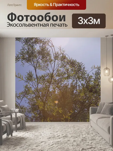 Фотообои Падение