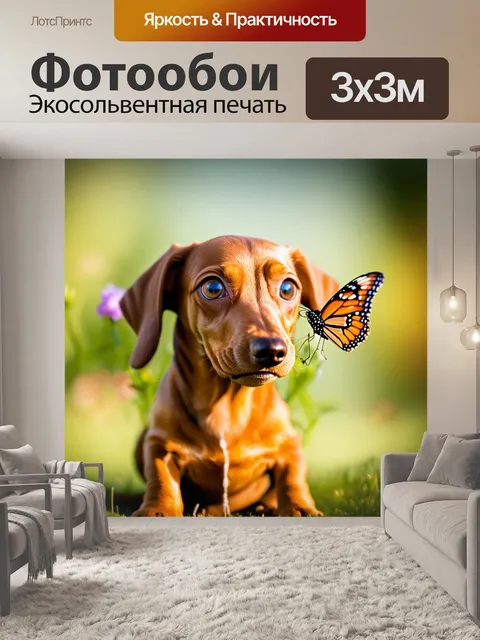 Фотообои Щенок таксы с большими выразительными глазами, смотрящий на бабочку