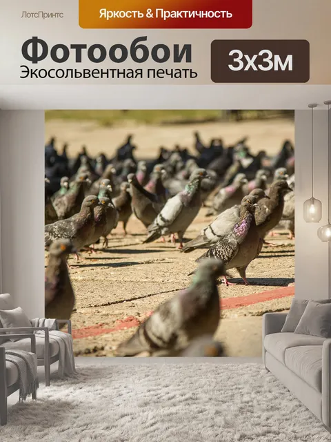 Фотообои Голуби